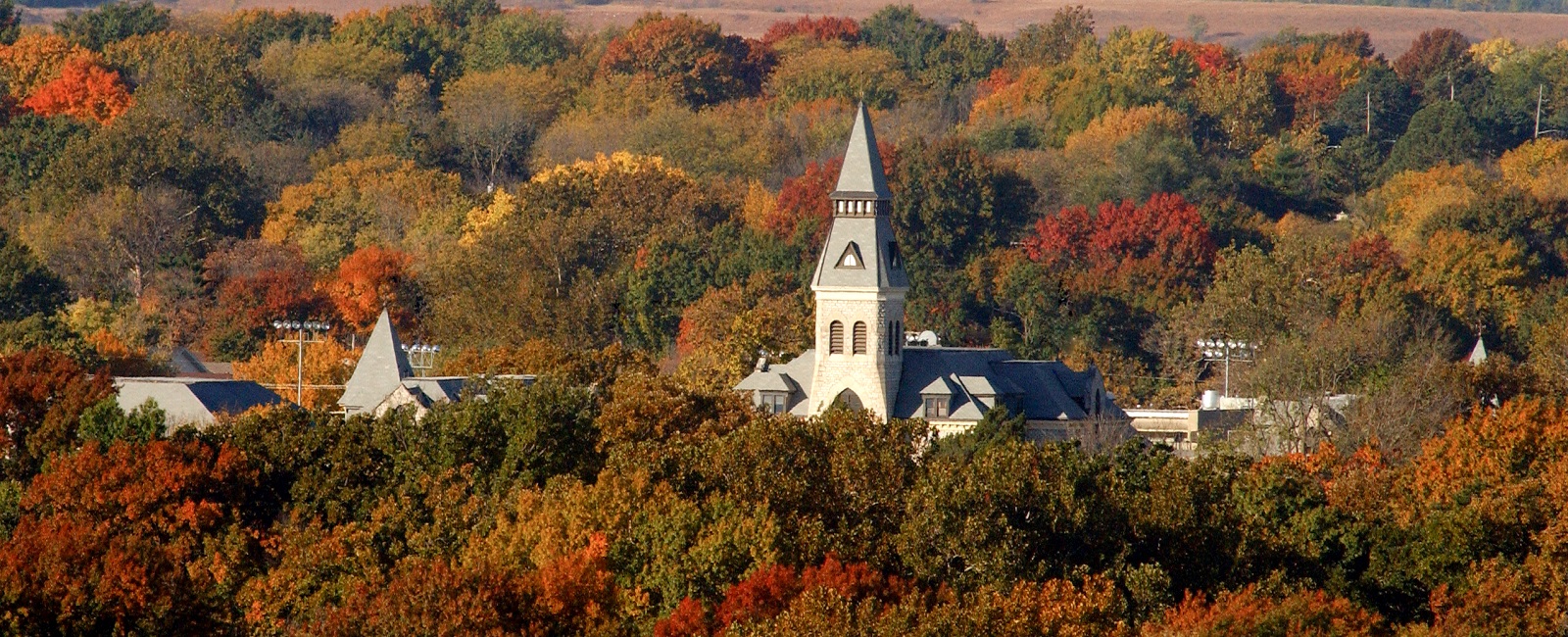 Anderson Hall in Trees