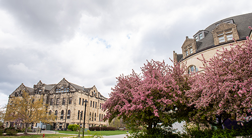 Hale library in spring