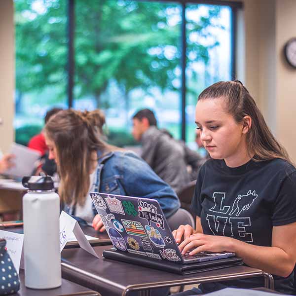Student working on laptop in class
