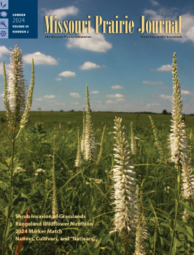 cover article summer 2024